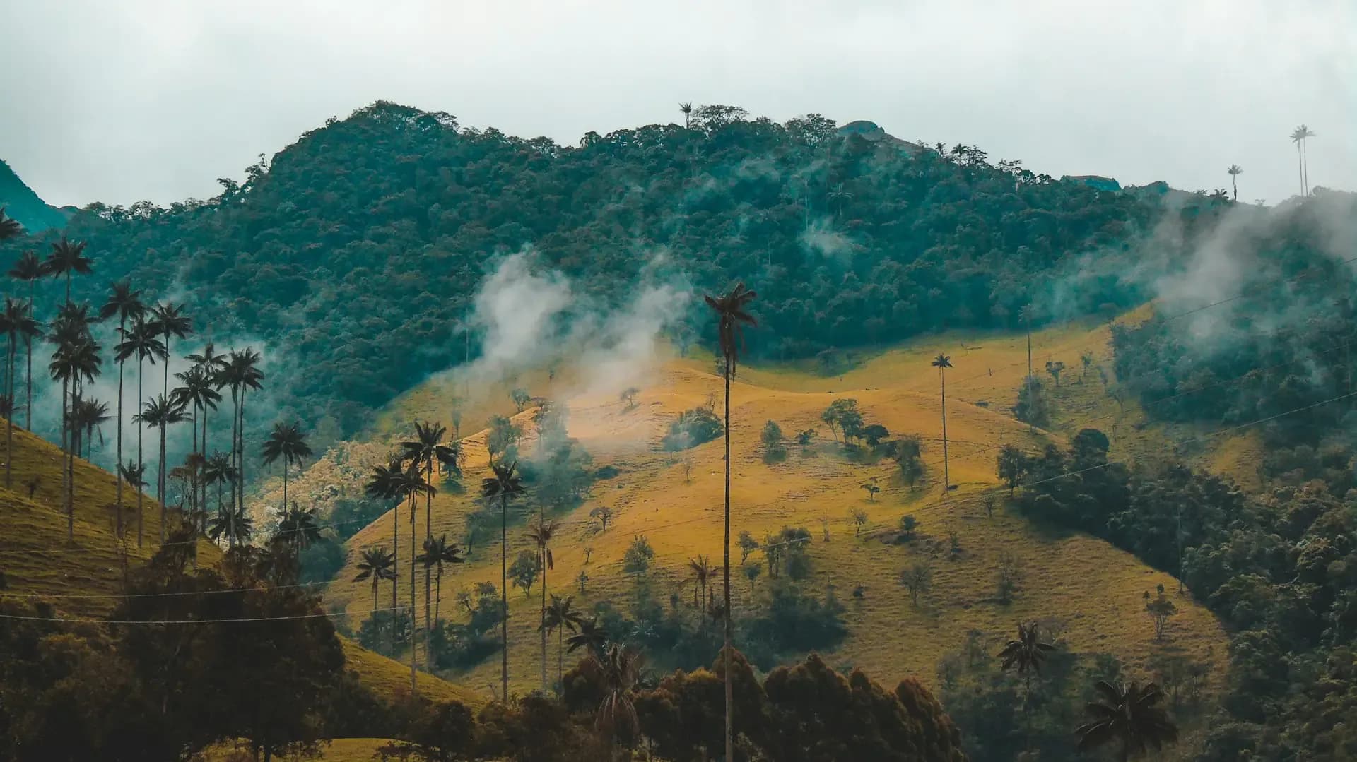 invertir en airbnb colombia
