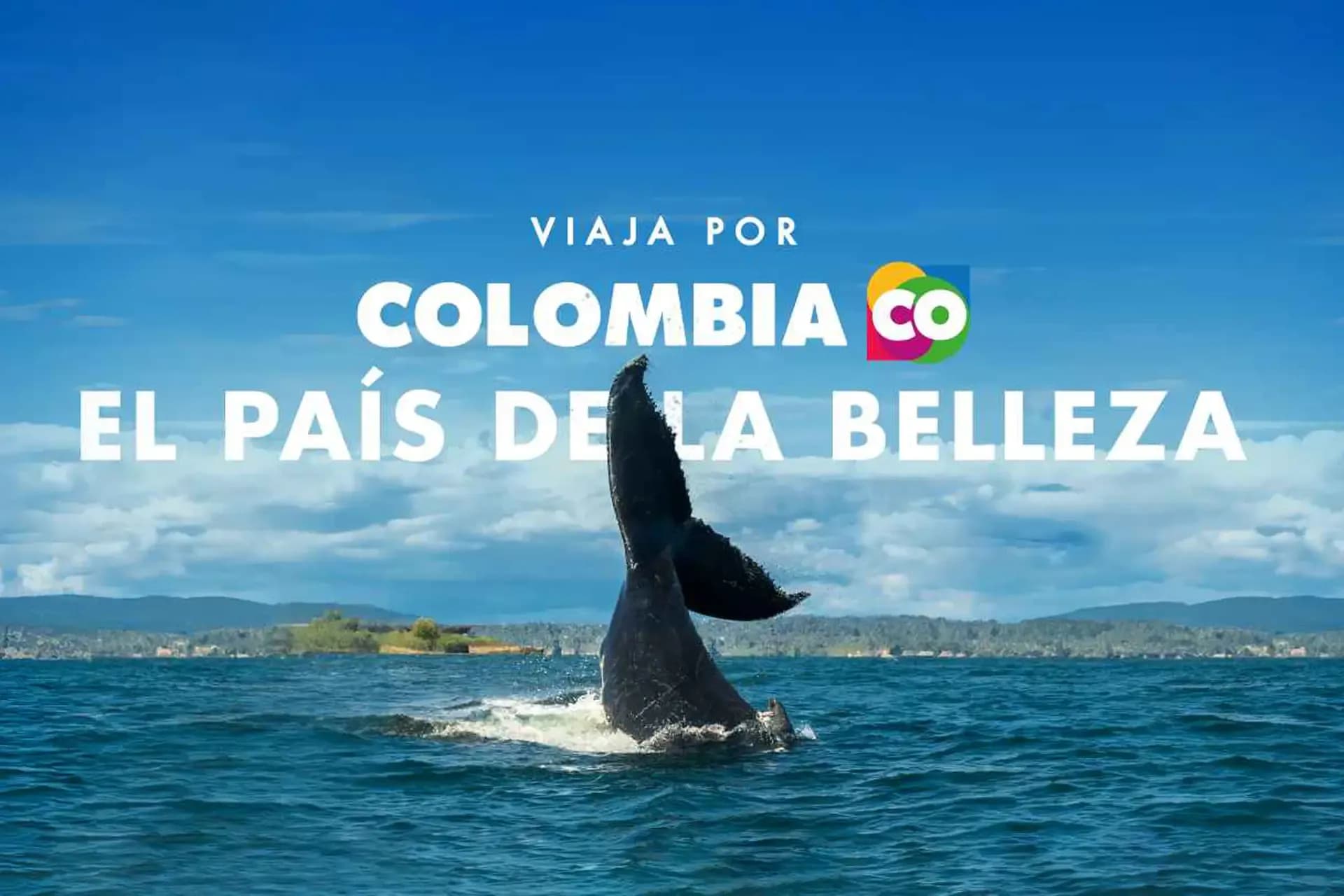 Cómo pagar el impuesto a Fontur en línea en Colombia